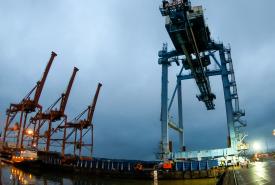 Terminal 7 Cranes